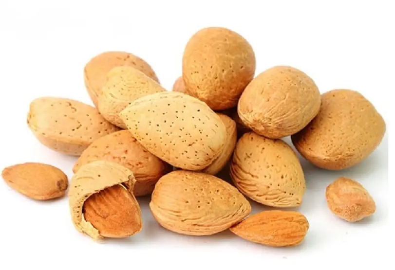 Stone Almond بادام درختی سنگی